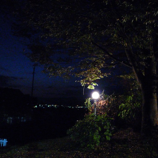 e0009147_21255158.jpg