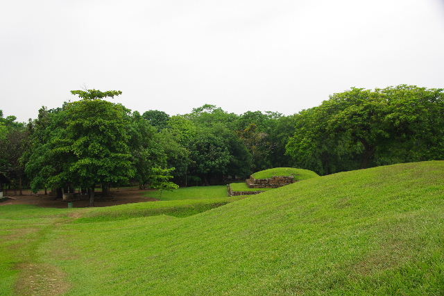 c0011649_229665.jpg
