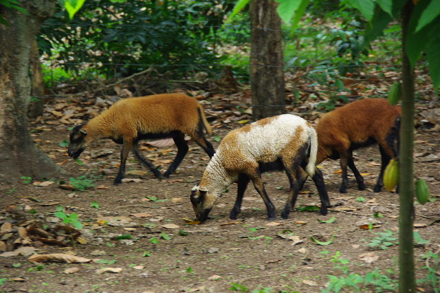 c0011649_3185088.jpg