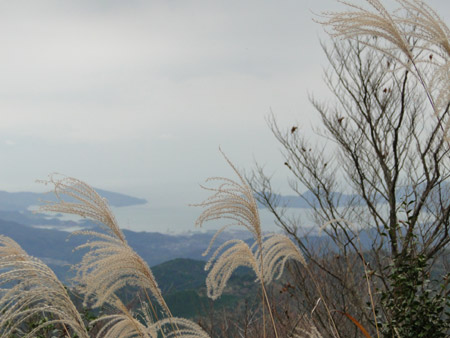 d0163550_21505534.jpg