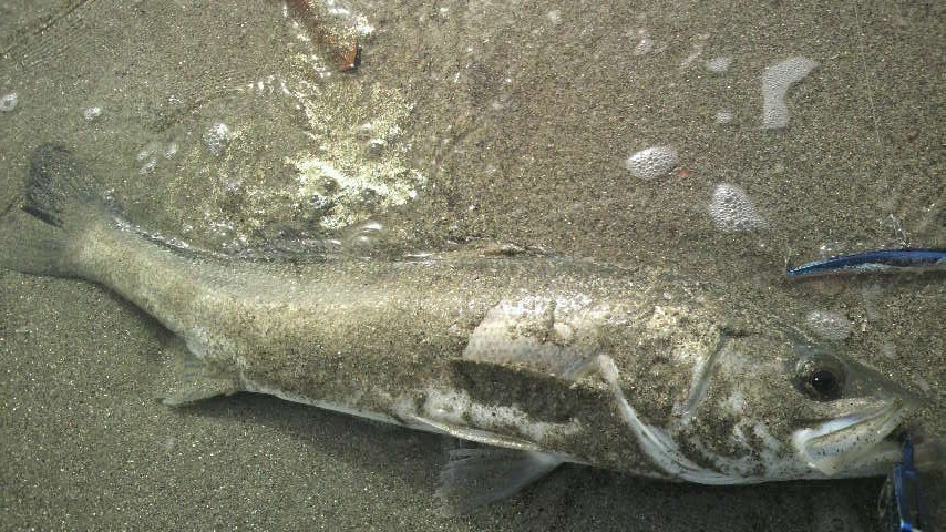 c0019951_23362653.jpg