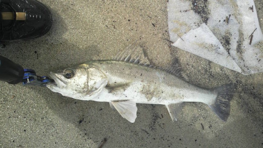 c0019951_23364035.jpg