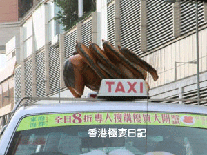 f0190653_1014311.gif