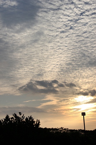 c0074156_0361834.jpg