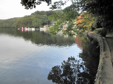 b0145863_17124688.jpg