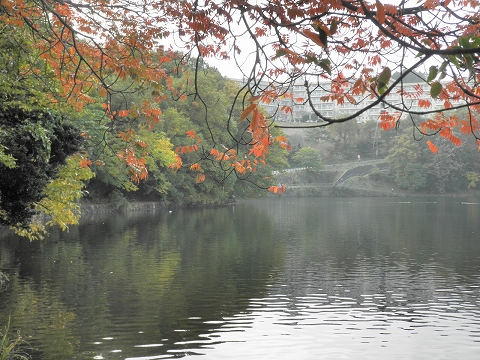 b0145863_17165461.jpg