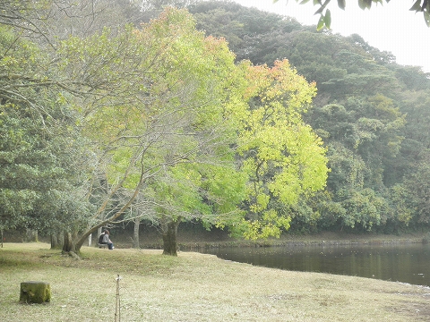 b0145863_1718019.jpg