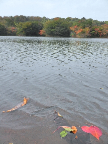 b0145863_17261535.jpg
