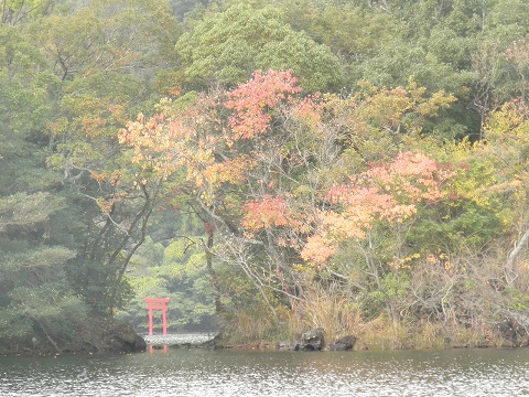 b0145863_23392783.jpg