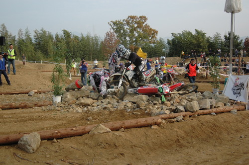 c0198263_17525784.jpg