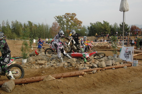 c0198263_1754999.jpg