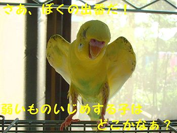 f0196665_062338.jpg