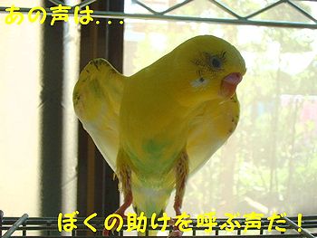f0196665_06550.jpg