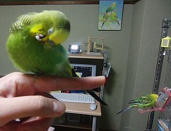 f0196665_2358312.jpg