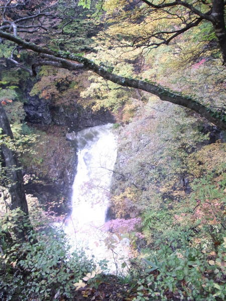 e0153367_15384094.jpg