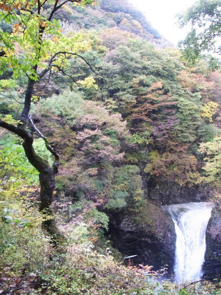 e0153367_1539124.jpg