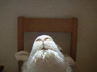 f0142668_6315376.jpg
