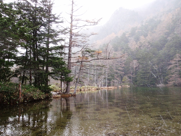 d0091069_23494210.jpg
