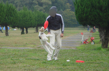 b0091373_3292713.jpg