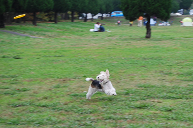 b0091373_3301475.jpg
