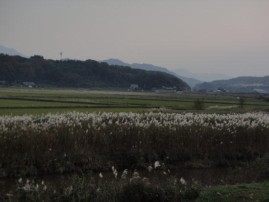 b0130273_1640201.jpg