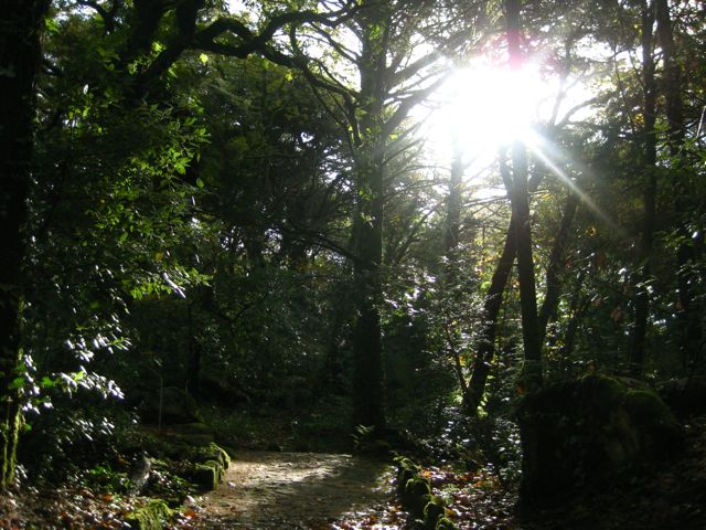d0008073_18283533.jpg