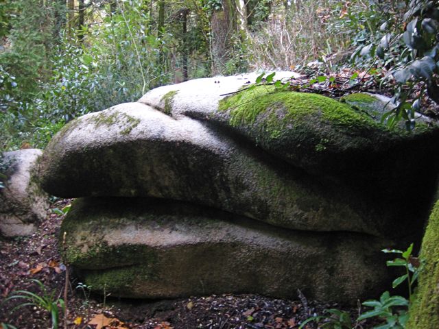 d0008073_18284710.jpg