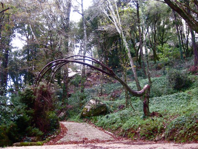 d0008073_18285580.jpg