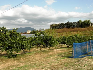 e0022374_17373483.jpg