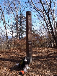 f0030875_2211544.jpg