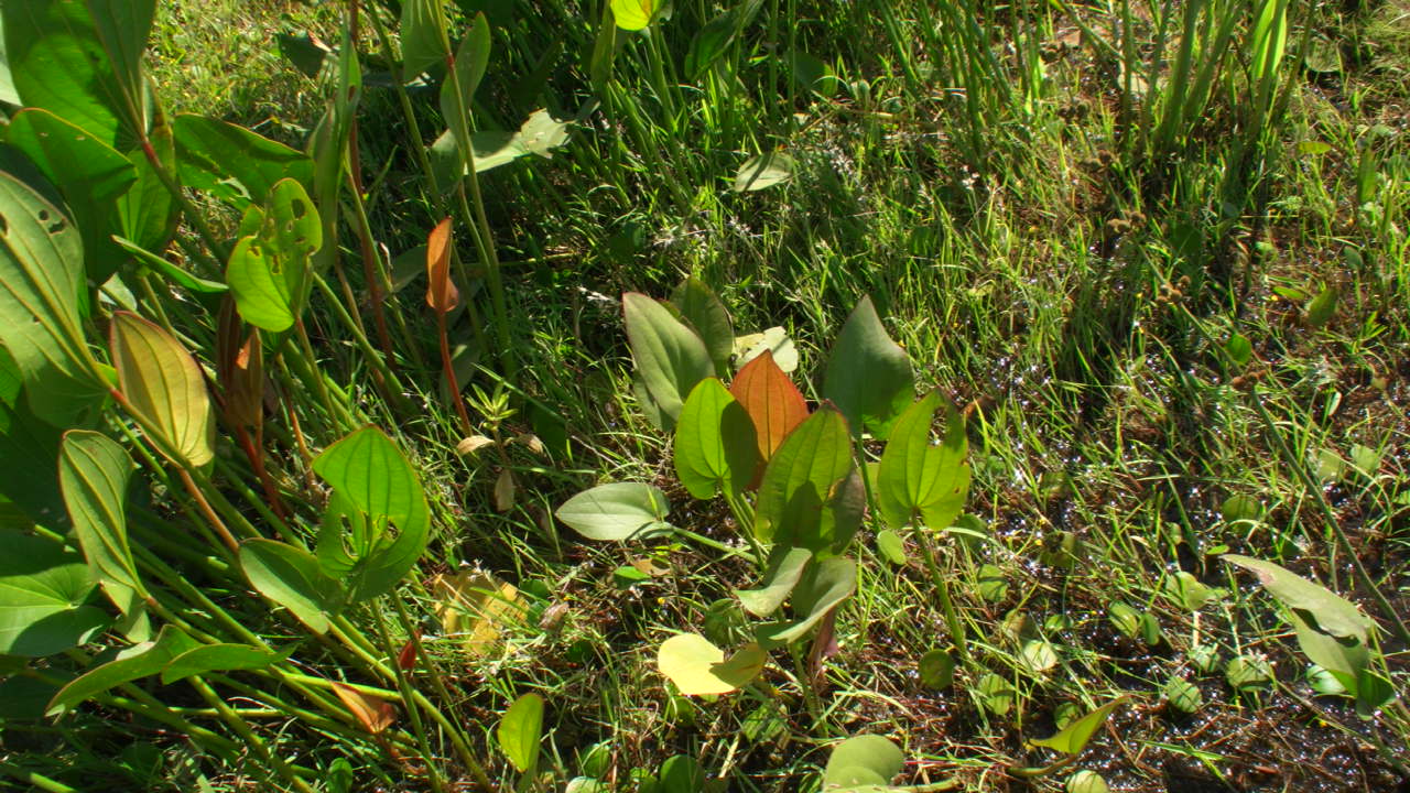 a0067578_19504510.jpg