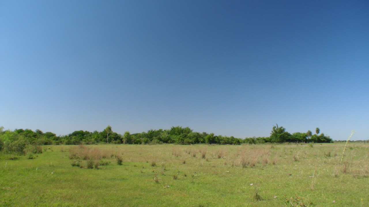 a0067578_1951169.jpg