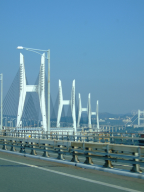 a0105480_2164986.jpg