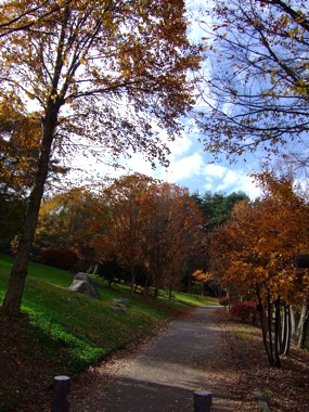 a0105480_2165759.jpg