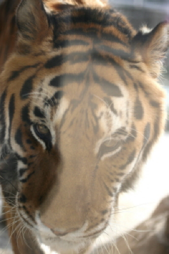 e0154682_2259366.jpg