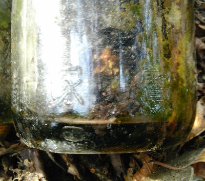 e0213591_10264735.jpg