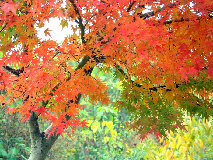 b0143293_21301479.jpg