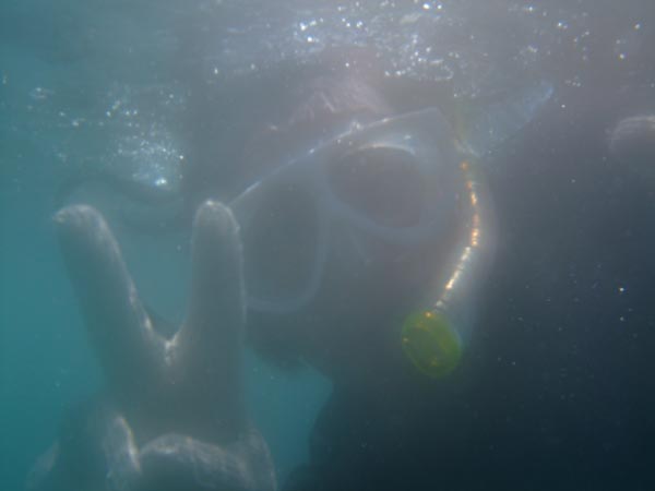 b0128294_15584613.jpg
