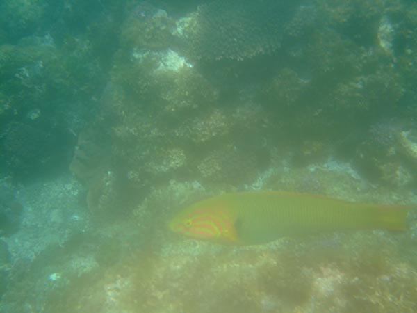 b0128294_15592577.jpg