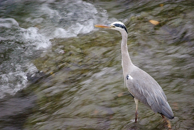 c0125596_22471683.jpg