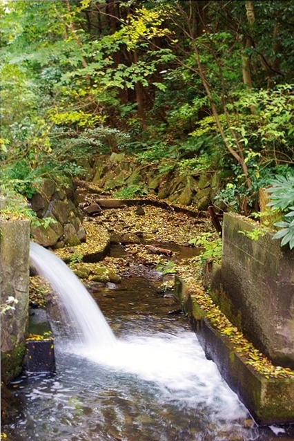 c0125596_22511387.jpg