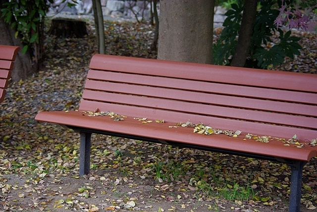 c0125596_2252077.jpg