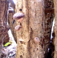 c0151898_9155780.jpg