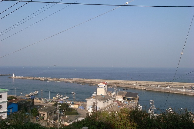 f0073398_816587.jpg