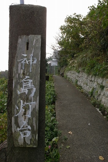 f0073398_8174932.jpg