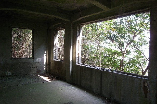 f0073398_8183692.jpg