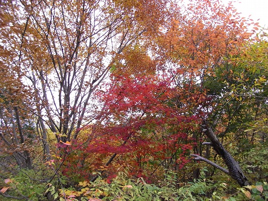 f0187402_2141376.jpg