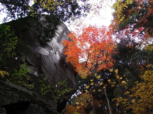 f0187402_2143393.jpg