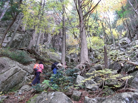 f0187402_2144431.jpg