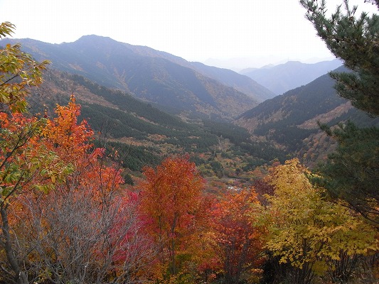 f0187402_2152955.jpg